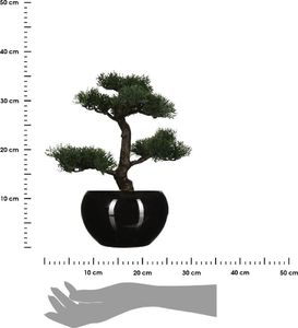 Atmosphera Drzewko bonsai w czarnej doniczce 36 cm 2