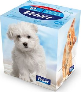 Velvet Velvet Chusteczki uniwersalne 60 szt 4