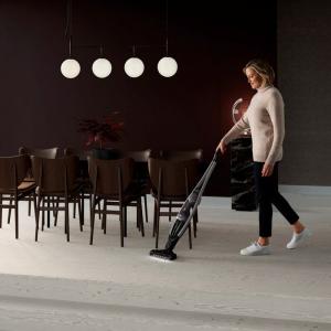 Odkurzacz pionowy Electrolux Pure Q9 PQ91-ANIMA 7