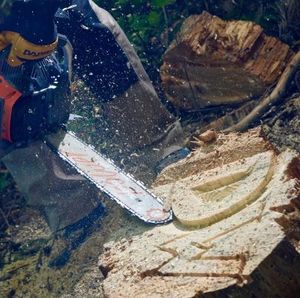 Piła łańcuchowa Daewoo DACS 4500 2.6 KM 49.3 cm3 40 cm 10