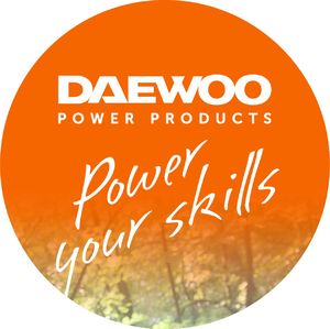 Daewoo Spawarka inwertorowa MMA 200A DW225 11