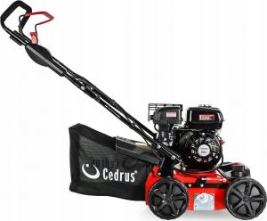 Cedrus Wertykulator Spalinowy do Trawy Aerator 2w1 5.5 KM (WR01) 4