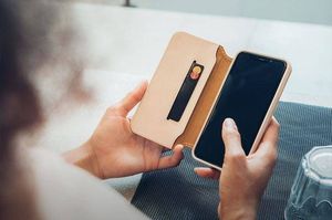 Moshi Moshi Overture - Etui iPhone Xs Max z kieszenią na karty + stand up (Savanna Beige) 7