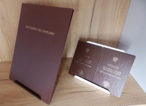 MT3CH Metalowy stojak podstawka podpórka półka uchwyt segregator organizer na płyty winylowe LP książkę telefon tablet srebrny 11