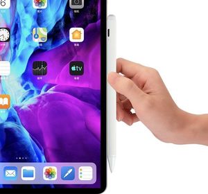 Rysik Cartinoe rysik do Apple iPad biały 9