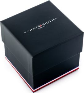 Zegarek Tommy Hilfiger ZEGAREK MĘSKI TOMMY HILFIGER BANK (zf022a) 6