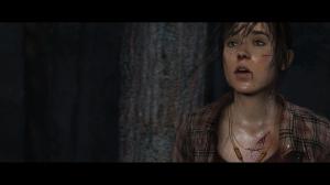 The Heavy Rain & Beyond Two Souls - Collection PS4 3