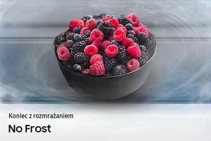 Lodówka Samsung RB38T602DSA 7