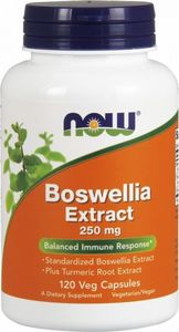 NOW Foods Now Foods Boswellia Extract 250 mg 120 weg. kaps. 1