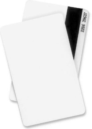 DataCard Karta magnetyczna biała 100szt. (597640-001) 1