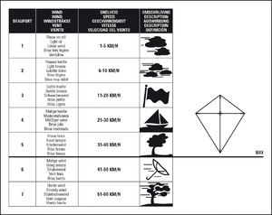 Dragon Fly Latawiec dla dzieci Pirate Dragon Fly uni 5