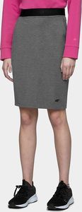 4f Spódnica 4F H4L21-SPUD010 24M H4L21-SPUD010 24M szary L 3