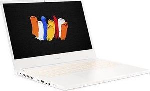 Laptop Acer ConceptD 3 Pro CN314-72P (NX.C5VEP.002) 2