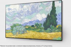 Telewizor LG OLED65G13LA OLED 65'' 4K Ultra HD WebOS 6.0 3