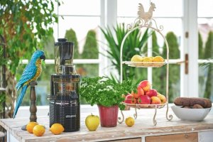 Wyciskarka wolnoobrotowa 4Swiss BM202 black + blender NB102 8