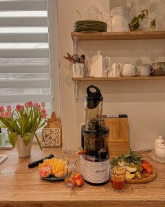 Wyciskarka wolnoobrotowa 4Swiss BM202 white + blender NB102 4