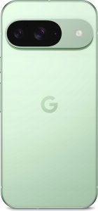 Smartfon Pixel 9 5G 12/128GB Zielony (GA05840-GB) + FlexibleGlass 4