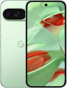 Smartfon Pixel 9 5G 12/128GB Zielony (GA05840-GB) + FlexibleGlass 10