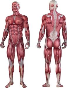 Movit Roller do masażu czarny 9