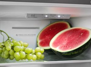 Lodówka Concept LK5455SS 5