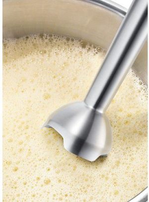 Blender Bosch MSM87110 4