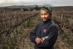 Sekator Felco 6 Classic nożycowy 4