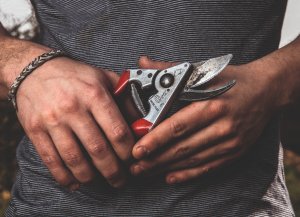 Sekator Felco 8 Classic nożycowy 7