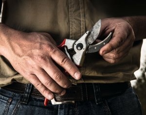 Sekator Felco 2 Classic nożycowy 10