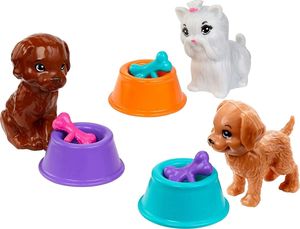 Lalka Barbie Mattel Team Stacie - Opiekunka zwierząt (GFF48) 4