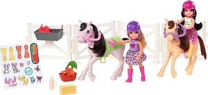 Lalka Barbie Mattel Barbie Chelsea Szkółka jeździecka 2 lalki+konie 2