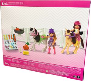 Lalka Barbie Mattel Barbie Chelsea Szkółka jeździecka 2 lalki+konie 8