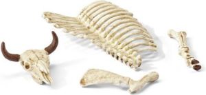 Figurka Schleich Kości (42249) 1