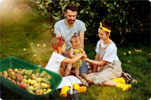 Humberg Wózek ogrodowy wywrotka 52L 14