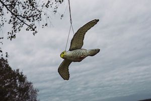 Bradas Odstraszacz ptaków 54cm Sokół w locie 2