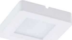 Kinkiet IDEUS Oprawa dekoracyjna SMD LED IGA LED D 1,8W WHITE 4000K IDEUS 7345 1