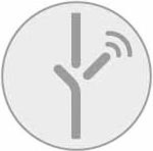 Osram LIGHTIFY SPOT PAR16 RGBW (4052899947252) 3