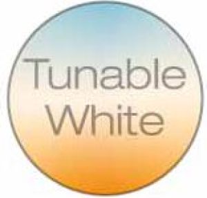 Osram LIGHTIFY SPOT PAR16 RGBW (4052899947252) 4