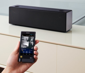 Kolumna Sony SRS-X99 (SRSX99.CED) 11