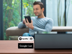 Kolumna Sony SRS-X99 (SRSX99.CED) 17