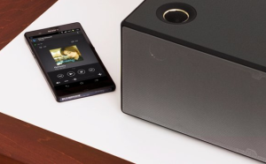 Kolumna Sony SRS-X99 (SRSX99.CED) 18