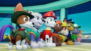 Psi Patrol rusza do akcji! / Paw Patrol: On A Roll! PC, wersja cyfrowa 2