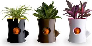 Qualy Doniczka z systemem nawadniającym Log&Squirrel biało-różowa 10075-WH-PK 2