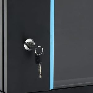Szafa vidaXL Wisząca 19" 9U (30166) 3