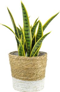 Tajemniczy ogród Kosz wiklinowy Moroccan biały osłonka XL 24,5cm 3