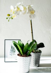 Tajemniczy ogród Osłonka doniczka ceramiczna HAVEN jasno szara 2