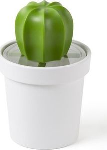 Qualy Pojemnik z łyżeczką na kawę kaktus Cacnister biało-zielony 10280-WH-GN 1