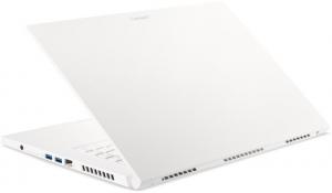 Laptop Acer ConceptD 3 CN315-72G (NX.C5YEV.001) 6