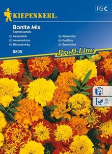 Kiepenkerl Aksamitka Bonita Mix Tagetes patula 1