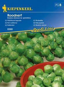 Kiepenkerl Brukselka Roodnerf Brassica oleracea var. gemmifera 1