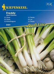 Kiepenkerl Cebula Freddy Allium fistulosum 1